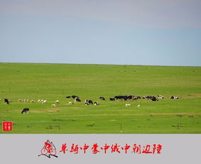 老驥伏櫪，志在千里 單騎穿越中蒙、中俄、中朝邊陲游記與攻略