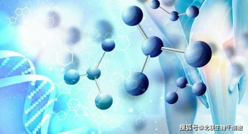 李非博士 干細胞干預糖尿病的科學探索與前景